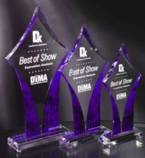 Acrylic Diamond Trophy