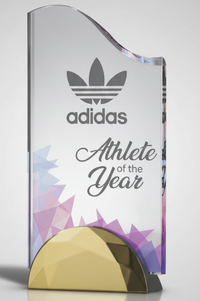 Wave Acrylic Award with Semi-Circle Base