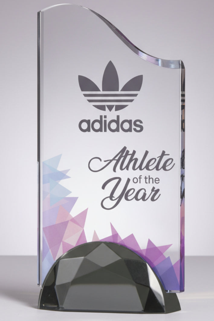 Wave Acrylic Award with Semi-Circle Base