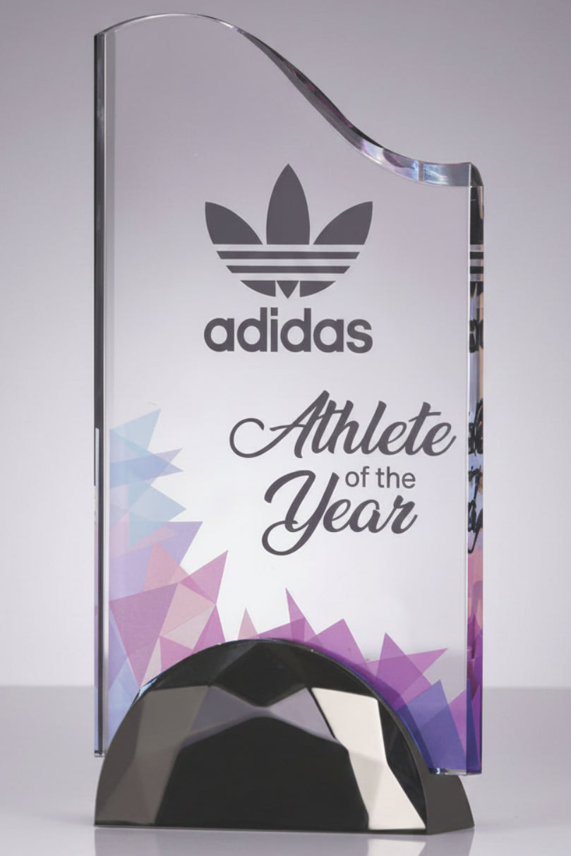 Wave Acrylic Award with Semi-Circle Base