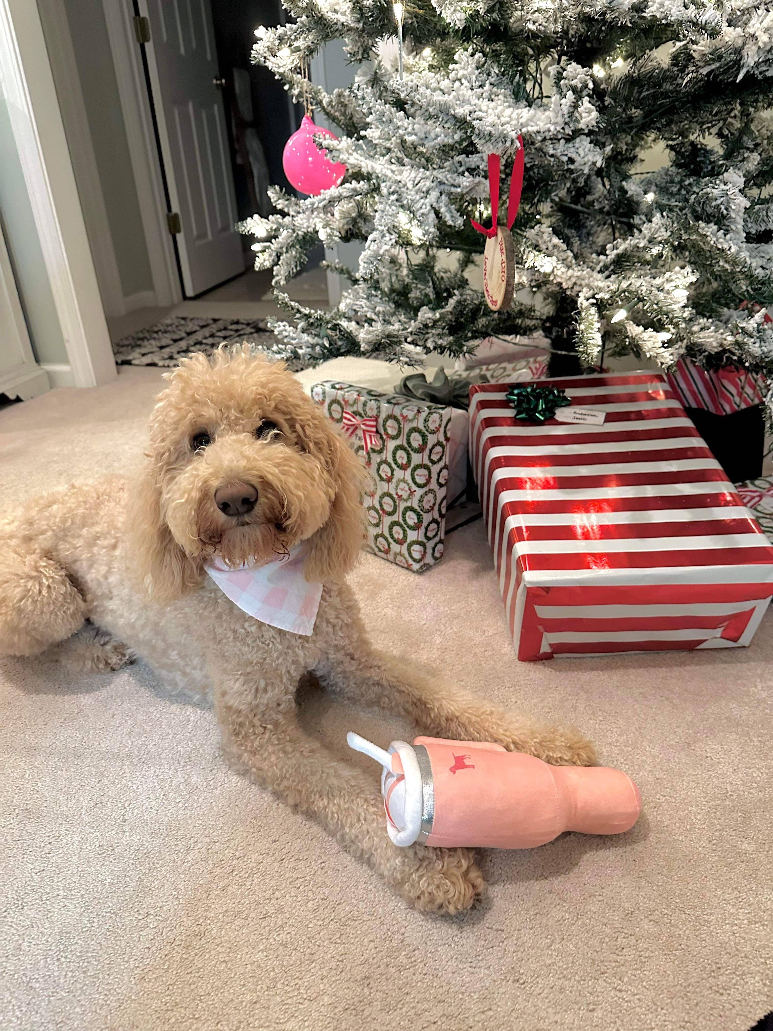 PUPROAR Pup Cup Tumbler Plush Squeaker Dog Toy