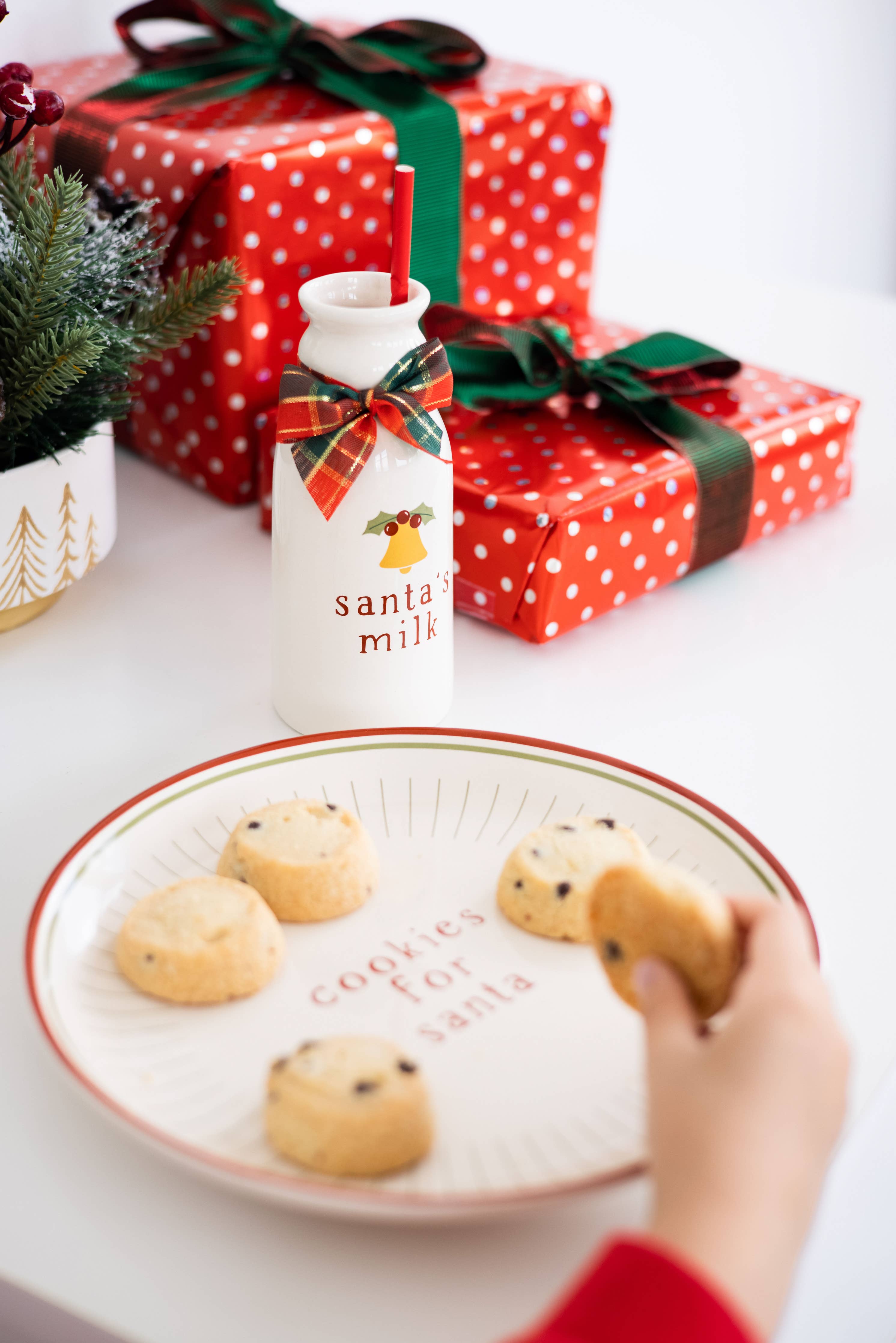 Santa Christmas Cookie Plate & Milk Jug Holiday Set