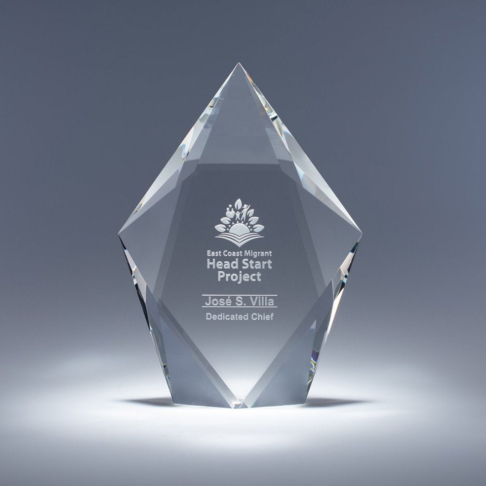 Sculpta Crystal Award