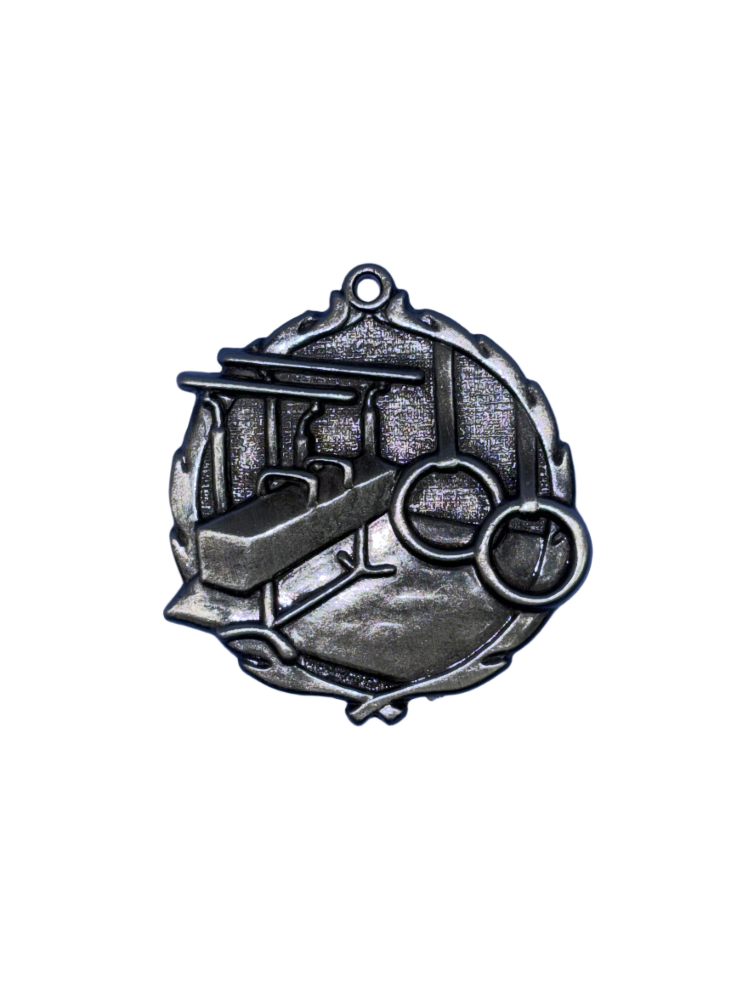 Male Gymnastics Silver Medal