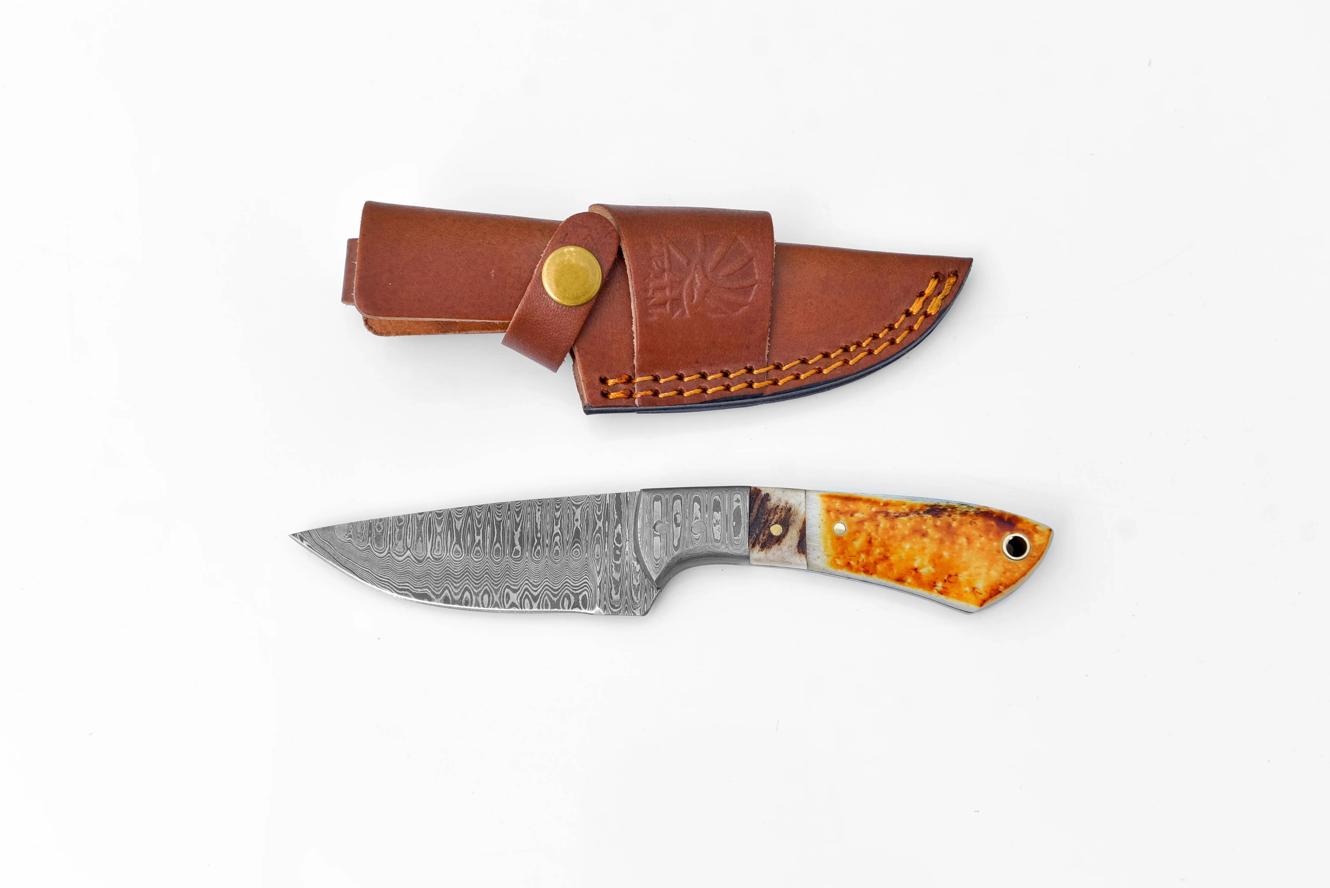 Damascus Steel Burnt bone & Walnut Hunting Knife