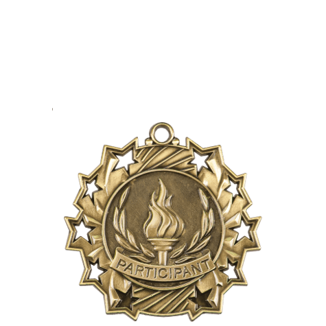 Ten Star Medals - Academic